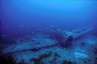 Exploración de pecios con Dollfin 